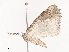  ( - CBG-A40161-F07)  @11 [ ] CreativeCommons - Attribution Share - Alike (2024) CBG Photography Group Centre for Biodiversity Genomics