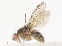  ( - CBG-A40113-B02)  @11 [ ] CreativeCommons - Attribution Share - Alike (2024) CBG Photography Group Centre for Biodiversity Genomics