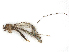  ( - CBG-A40157-H05)  @11 [ ] CreativeCommons - Attribution (2024) CBG Photography Group Centre for Biodiversity Genomics