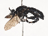  ( - CBG-A41807-A08)  @11 [ ] CreativeCommons - Attribution Share - Alike (2024) CBG Photography Group Centre for Biodiversity Genomics