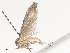  ( - CBG-A41808-A01)  @11 [ ] CreativeCommons - Attribution Share - Alike (2024) CBG Photography Group Centre for Biodiversity Genomics