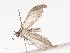  ( - CBG-A45186-A12)  @11 [ ] CreativeCommons - Attribution Share - Alike (2024) CBG Photography Group Centre for Biodiversity Genomics