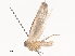  ( - CBG-A46901-B11)  @11 [ ] CreativeCommons - Attribution Share - Alike (2024) CBG Photography Group Centre for Biodiversity Genomics