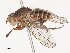  ( - CBG-A51856-A10)  @11 [ ] CreativeCommons - Attribution Share - Alike (2024) CBG Photography Group Centre for Biodiversity Genomics