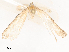  ( - CBG-A51856-B02)  @11 [ ] CreativeCommons - Attribution Share - Alike (2024) CBG Photography Group Centre for Biodiversity Genomics