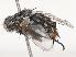  ( - CBG-A51856-D11)  @11 [ ] CreativeCommons - Attribution Share - Alike (2024) CBG Photography Group Centre for Biodiversity Genomics
