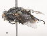 ( - CBG-A51856-E04)  @11 [ ] CreativeCommons - Attribution Share - Alike (2024) CBG Photography Group Centre for Biodiversity Genomics