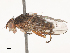 ( - CBG-A51856-H09)  @11 [ ] CreativeCommons - Attribution Share - Alike (2024) CBG Photography Group Centre for Biodiversity Genomics