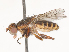  ( - CBG-A51856-H10)  @11 [ ] CreativeCommons - Attribution Share - Alike (2024) CBG Photography Group Centre for Biodiversity Genomics