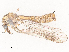  ( - CBG-A51877-D11)  @11 [ ] CreativeCommons - Attribution Share - Alike (2024) CBG Photography Group Centre for Biodiversity Genomics