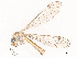  ( - CBG-A51877-E04)  @11 [ ] CreativeCommons - Attribution Share - Alike (2024) CBG Photography Group Centre for Biodiversity Genomics