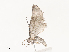  ( - CBG-A51878-E03)  @11 [ ] CreativeCommons - Attribution Share - Alike (2024) CBG Photography Group Centre for Biodiversity Genomics