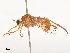  ( - CBG-A51879-G03)  @11 [ ] CreativeCommons - Attribution Share - Alike (2024) CBG Photography Group Centre for Biodiversity Genomics