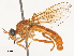  ( - CBG-A51879-G04)  @11 [ ] CreativeCommons - Attribution Share - Alike (2024) CBG Photography Group Centre for Biodiversity Genomics