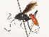  ( - CBG-A51879-H10)  @11 [ ] CreativeCommons - Attribution Share - Alike (2024) CBG Photography Group Centre for Biodiversity Genomics