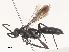  ( - CBG-A51880-H03)  @11 [ ] CreativeCommons - Attribution Share - Alike (2024) CBG Photography Group Centre for Biodiversity Genomics