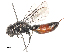  ( - CBG-A51986-B01)  @11 [ ] CreativeCommons - Attribution Share - Alike (2024) CBG Photography Group Centre for Biodiversity Genomics