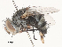  ( - CBG-A51989-E09)  @11 [ ] CreativeCommons - Attribution Share - Alike (2024) CBG Photography Group Centre for Biodiversity Genomics