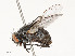  ( - CBG-A51957-G02)  @11 [ ] CreativeCommons - Attribution Share - Alike (2024) CBG Photography Group Centre for Biodiversity Genomics