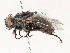  ( - CBG-A51957-H01)  @11 [ ] CreativeCommons - Attribution Share - Alike (2024) CBG Photography Group Centre for Biodiversity Genomics