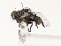  ( - CBG-A51957-H02)  @11 [ ] CreativeCommons - Attribution Share - Alike (2024) CBG Photography Group Centre for Biodiversity Genomics