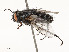  ( - CBG-A51958-F04)  @11 [ ] CreativeCommons - Attribution Share - Alike (2024) CBG Photography Group Centre for Biodiversity Genomics