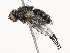  ( - CBG-A51958-G01)  @11 [ ] CreativeCommons - Attribution Share - Alike (2024) CBG Photography Group Centre for Biodiversity Genomics