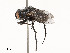  ( - CBG-A51958-H03)  @11 [ ] CreativeCommons - Attribution Share - Alike (2024) CBG Photography Group Centre for Biodiversity Genomics