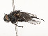  ( - CBG-A51963-C06)  @11 [ ] CreativeCommons - Attribution Share - Alike (2024) CBG Photography Group Centre for Biodiversity Genomics