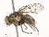  ( - CBG-A51963-C08)  @11 [ ] CreativeCommons - Attribution Share - Alike (2024) CBG Photography Group Centre for Biodiversity Genomics