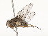  ( - CBG-A51963-D07)  @11 [ ] CreativeCommons - Attribution Share - Alike (2024) CBG Photography Group Centre for Biodiversity Genomics