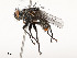  ( - CBG-A51963-D12)  @11 [ ] CreativeCommons - Attribution Share - Alike (2024) CBG Photography Group Centre for Biodiversity Genomics