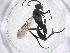  ( - CBG-A52828-H10)  @11 [ ] CreativeCommons - Attribution Share - Alike (2024) Centre for Biodiversity Genomics Centre for Biodiversity Genomics