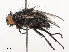  ( - CBG-A53657-F02)  @11 [ ] CreativeCommons - Attribution Share - Alike (2024) CBG Photography Group Centre for Biodiversity Genomics