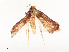  ( - CBG-A53669-C01)  @11 [ ] CreativeCommons - Attribution Share - Alike (2024) CBG Photography Group Centre for Biodiversity Genomics
