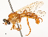  ( - CBG-A53670-G01)  @11 [ ] CreativeCommons - Attribution Share - Alike (2024) CBG Photography Group Centre for Biodiversity Genomics