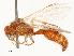  ( - CBG-A53670-G05)  @11 [ ] CreativeCommons - Attribution Share - Alike (2024) CBG Photography Group Centre for Biodiversity Genomics