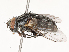  ( - CBG-A53671-H11)  @11 [ ] CreativeCommons - Attribution Share - Alike (2024) CBG Photography Group Centre for Biodiversity Genomics