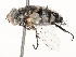  ( - CBG-A53672-B07)  @11 [ ] CreativeCommons - Attribution Share - Alike (2024) CBG Photography Group Centre for Biodiversity Genomics