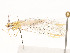  ( - CBG-A53672-F07)  @11 [ ] CreativeCommons - Attribution Share - Alike (2024) CBG Photography Group Centre for Biodiversity Genomics