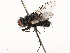  ( - CBG-A53672-G02)  @11 [ ] CreativeCommons - Attribution Share - Alike (2024) CBG Photography Group Centre for Biodiversity Genomics