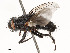  ( - CBG-A53672-H01)  @11 [ ] CreativeCommons - Attribution Share - Alike (2024) CBG Photography Group Centre for Biodiversity Genomics
