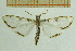  ( - IOZ_LEP_M_2805)  @14 [ ] CreativeCommons - Attribution Non-Commercial Share-Alike (2012) Chen Fuqiang Institute of Zoology, Chinese Academy of Sciences