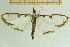  ( - IOZ_LEP_M_2839)  @14 [ ] CreativeCommons - Attribution Non-Commercial Share-Alike (2012) Chen Fuqiang Institute of Zoology, Chinese Academy of Sciences