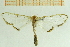 ( - IOZ_LEP_M_2842)  @14 [ ] CreativeCommons - Attribution Non-Commercial Share-Alike (2012) Chen Fuqiang Institute of Zoology, Chinese Academy of Sciences