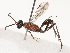  ( - CBG-B21632-F02)  @11 [ ] CreativeCommons - Attribution Share - Alike (2025) CBG Photography Group Centre for Biodiversity Genomics