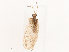  ( - CBG-B22919-G08)  @11 [ ] CreativeCommons - Attribution Share - Alike (2025) CBG Photography Group Centre for Biodiversity Genomics