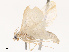  ( - CBG-B21621-C09)  @11 [ ] CreativeCommons - Attribution Share - Alike (2025) CBG Photography Group Centre for Biodiversity Genomics