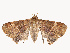  ( - CBG-B21621-D08)  @11 [ ] CreativeCommons - Attribution Share - Alike (2025) CBG Photography Group Centre for Biodiversity Genomics