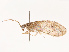  ( - CBG-B21621-E11)  @11 [ ] CreativeCommons - Attribution Share - Alike (2025) CBG Photography Group Centre for Biodiversity Genomics